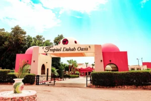 تروبيتال  دهب