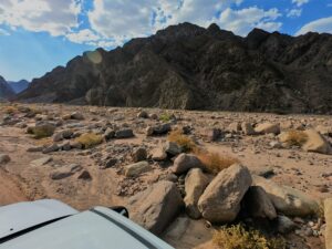 نويبع نص السنة جاهزة عشانك