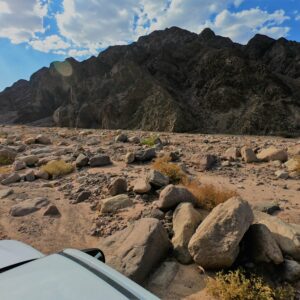 نويبع نص السنة جاهزة عشانك